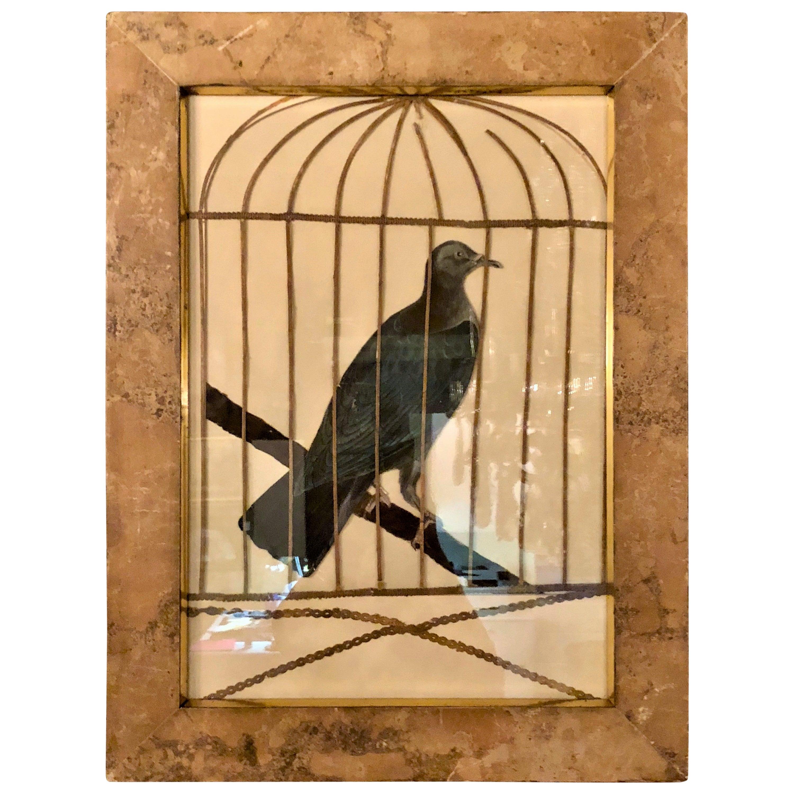 victorian bird prints