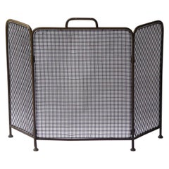 Antique English Victorian Fireplace Screen or Fire Screen, 19th Century