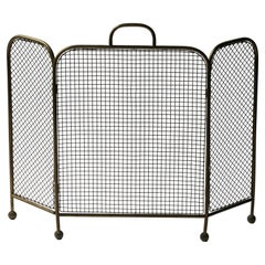 Antique English Victorian Fireplace Screen or Fire Screen, 19th Century