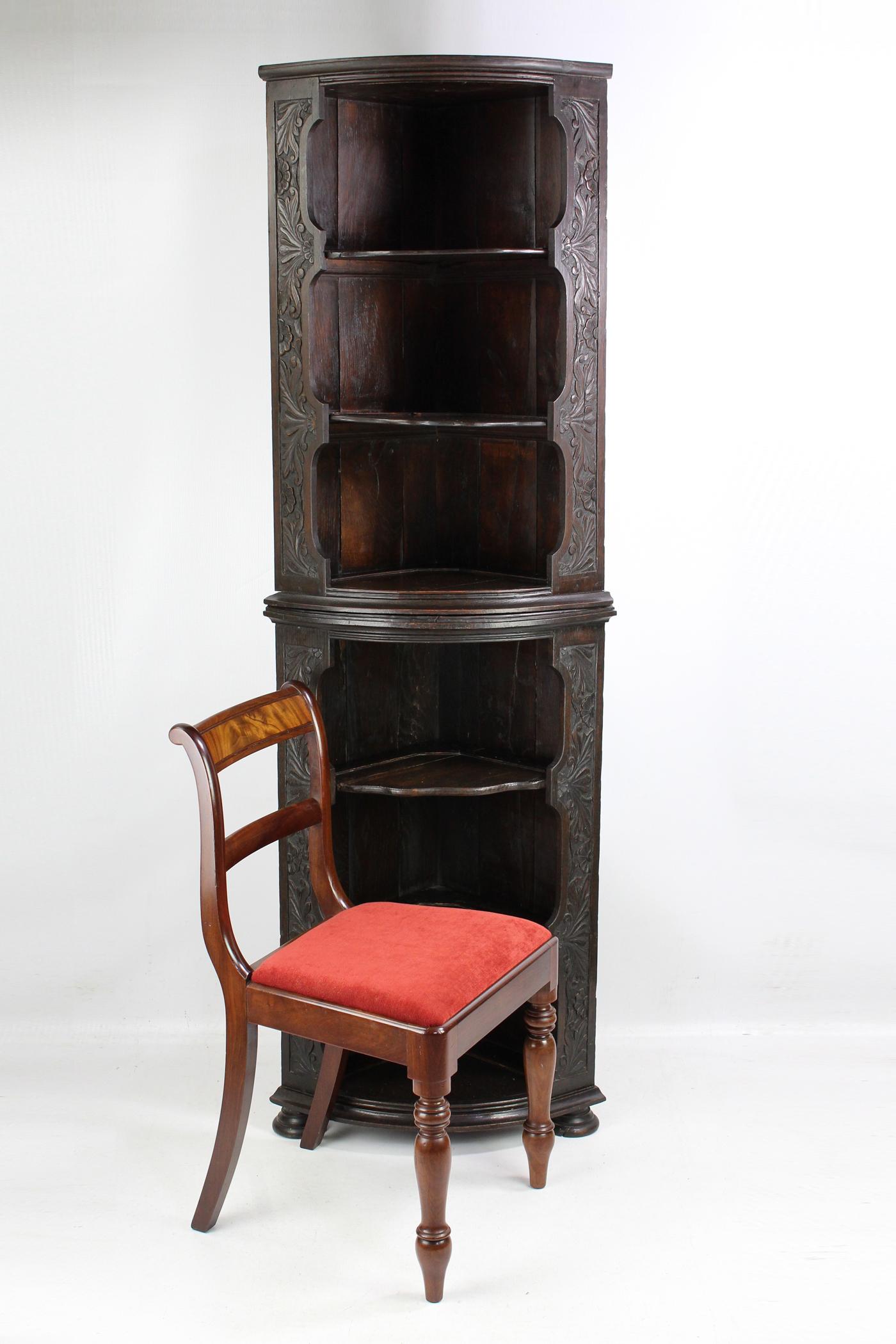 Antique English Victorian Gothic Revival Oak Corner Cupboard Bookcase Shelf Unit 5