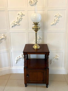 Antique English Victorian Mahogany Bedside Cupboard Pot Cupboard Lamp Table