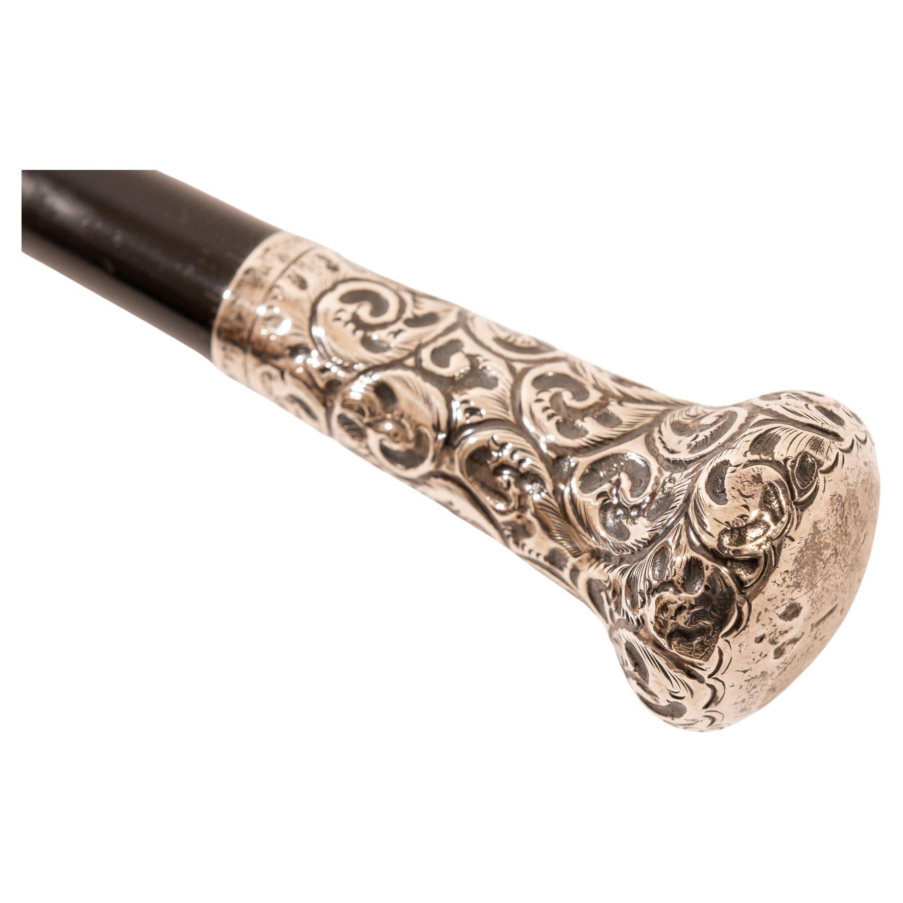 Beaux Arts Antique English Walking Stick For Sale