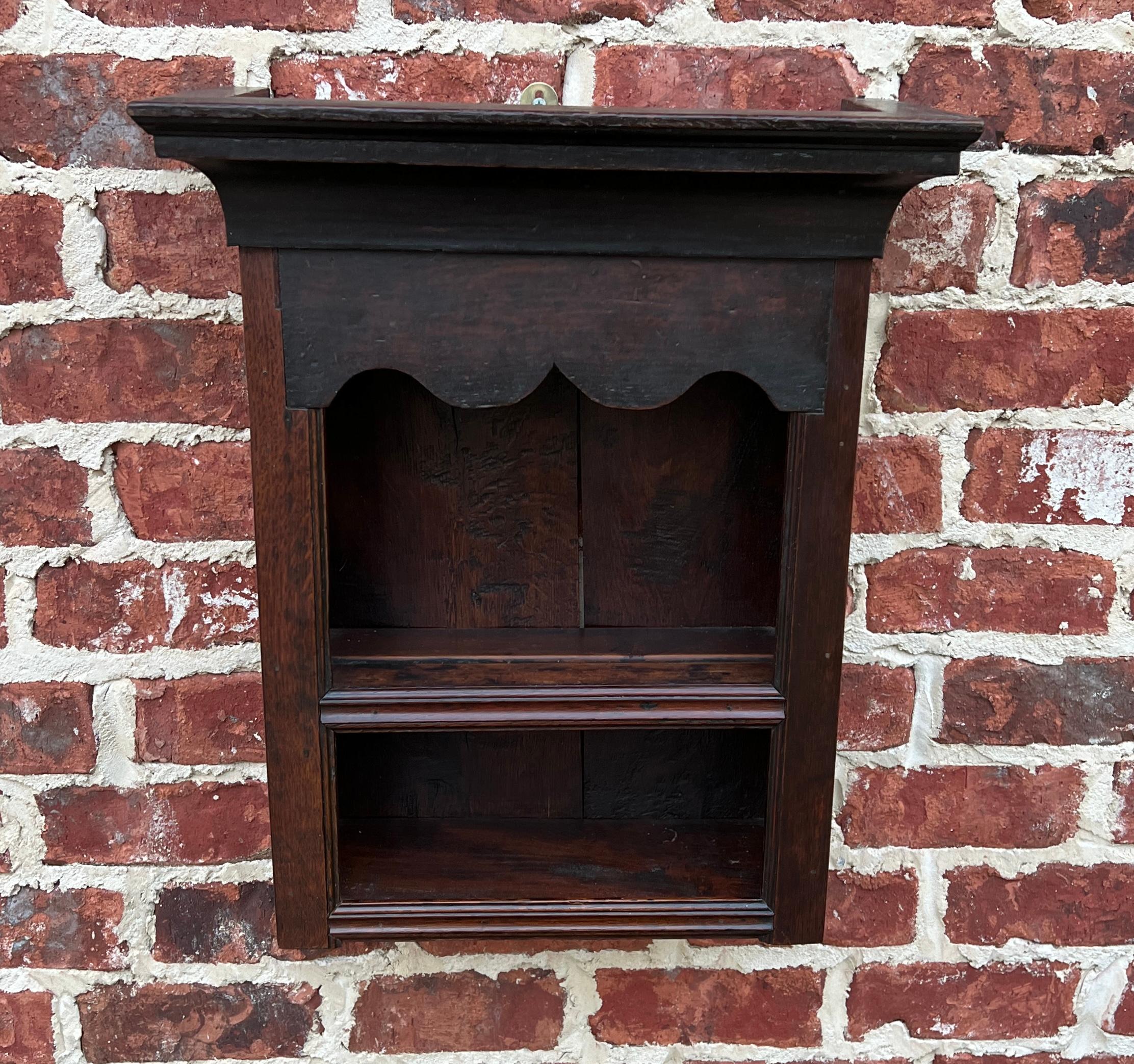 18th Century Antique English Wall Shelf Hanging Wall Decor Small Bookcase Carved Oak 18th C