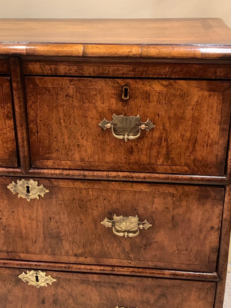 Antique English Walnut Chest on Bun Feet For Sale at 1stDibs