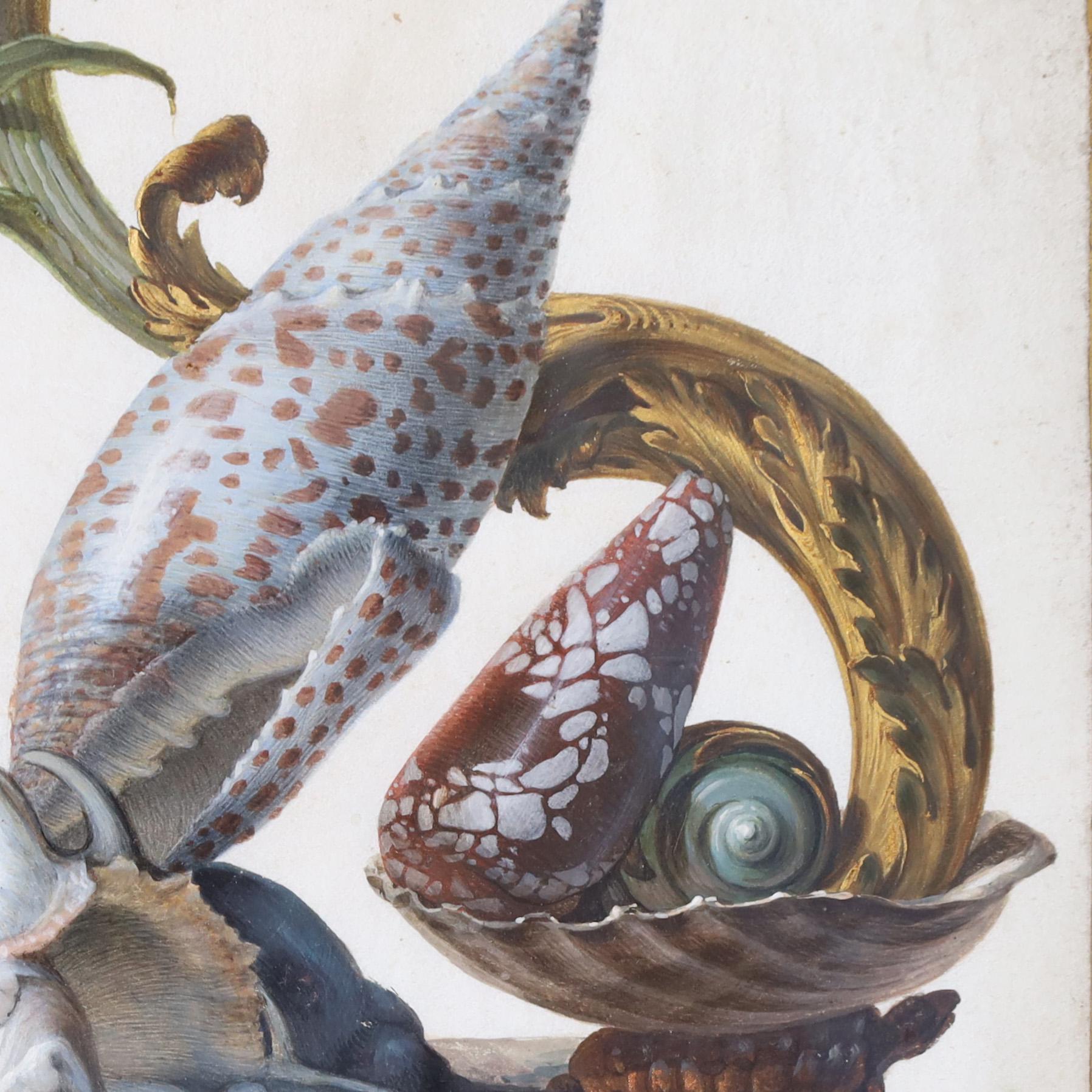 Antique English Watercolor and Gouache Still Life with Sea Shells For ...