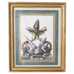 Antique English Watercolor and Gouache Still Life with Sea Shells