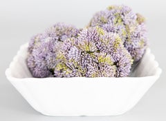 Antique English White Ironstone Fluted Lady Finger Square Bowl Dish, circa 1900