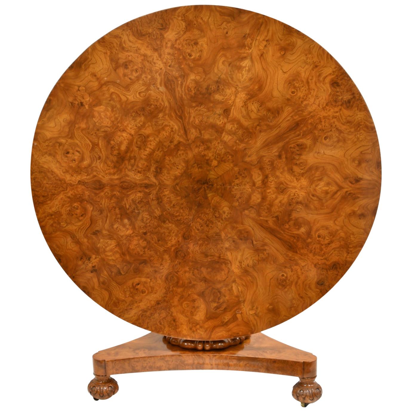 Antique English William IV Round Center or Loo Table in Burl Ash on Pedestal
