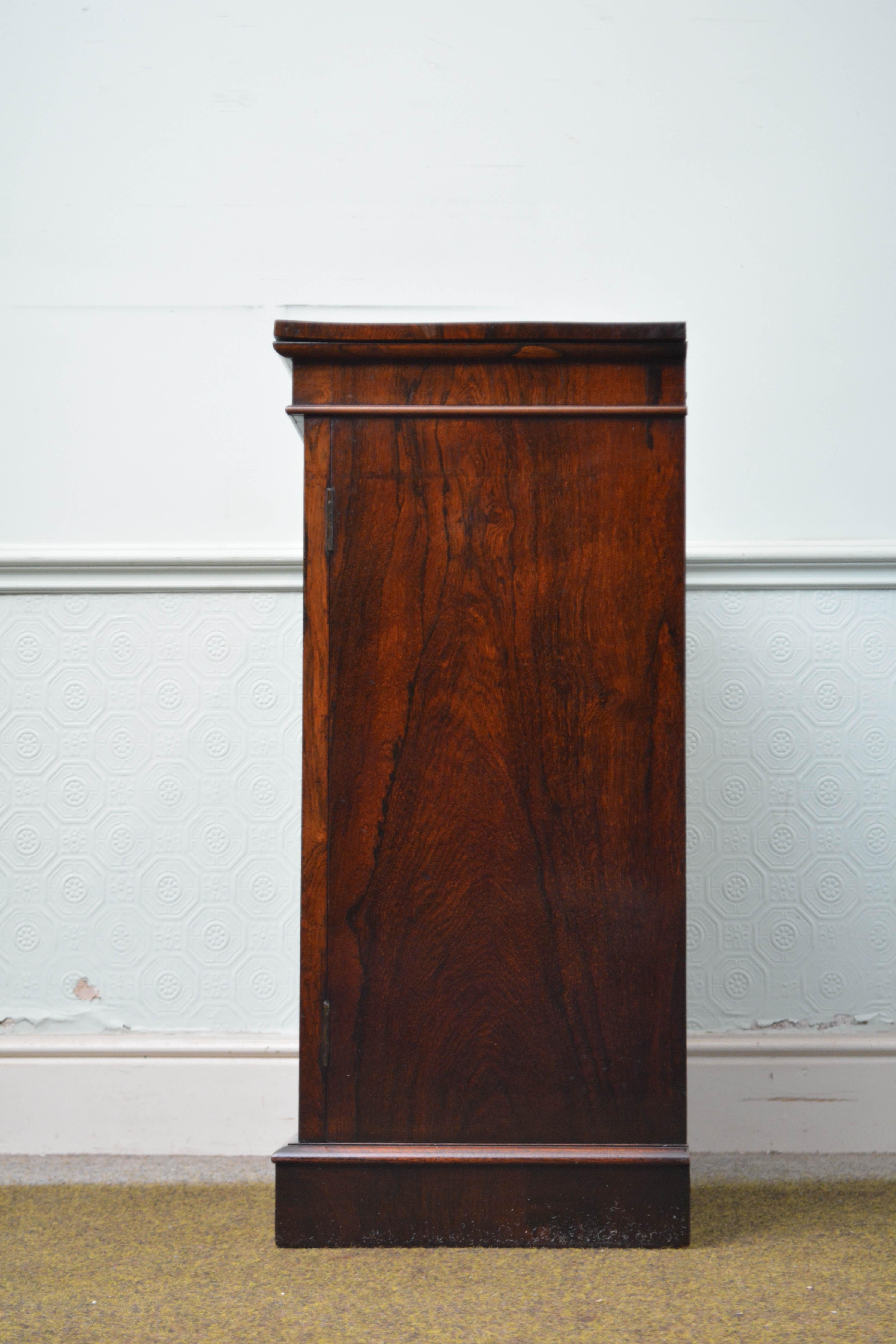Antique English William IV Two Door Chiffonier c1830s For Sale 13
