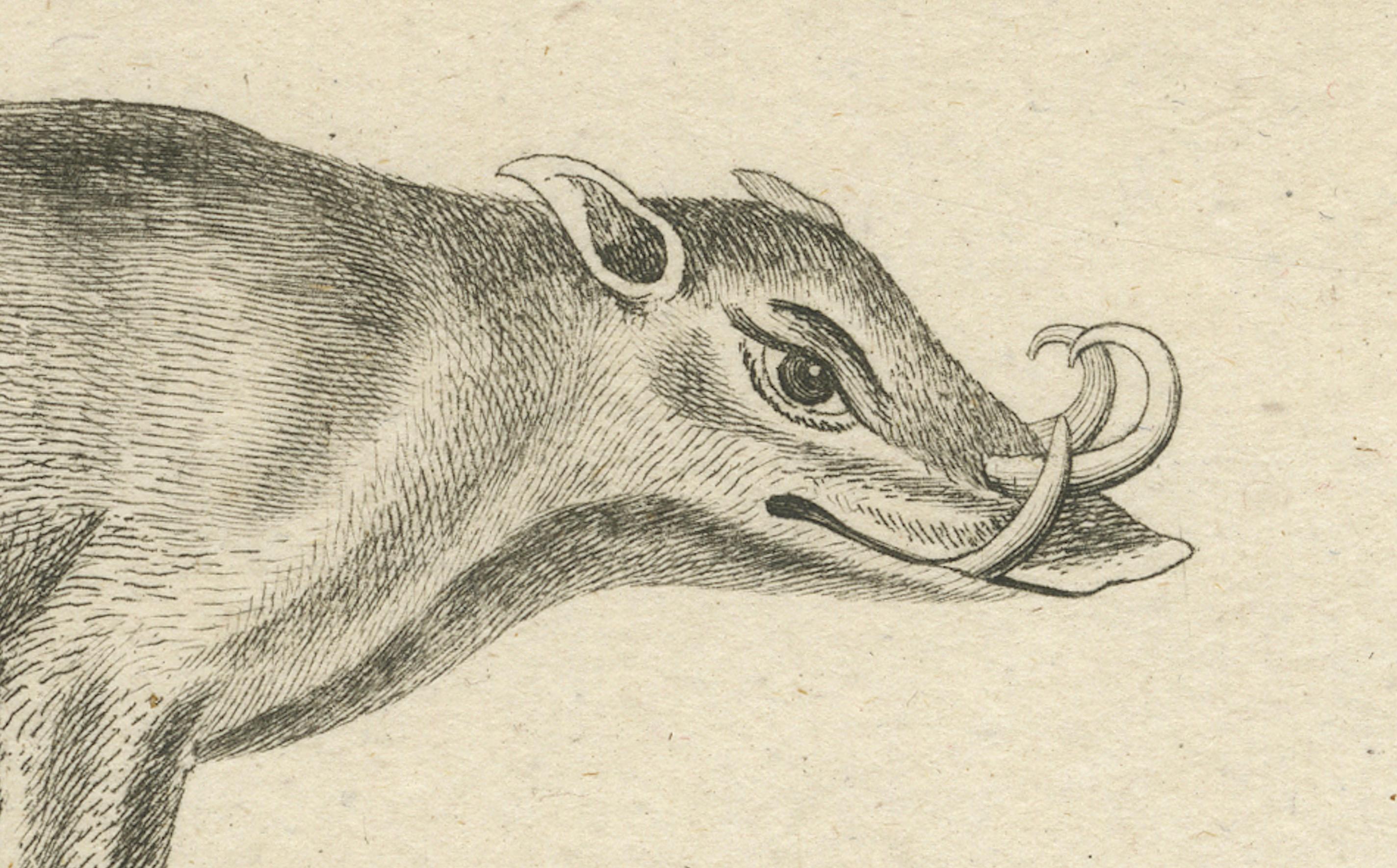 XIXe siècle Antique Engraving of a Babirusa and a Swallow, ca.1800 en vente