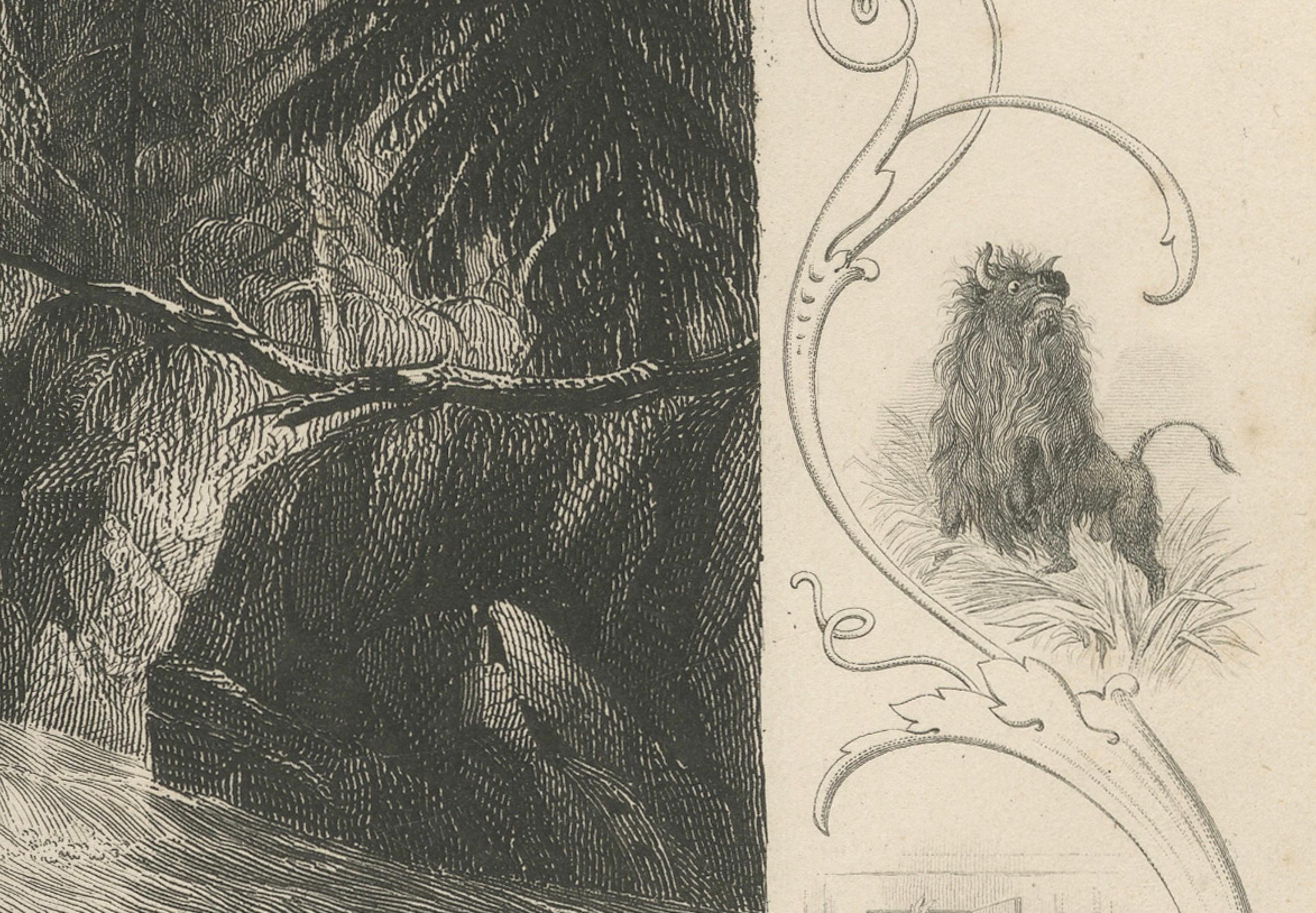 Incisione antica del Canale Erie e delle Piccole Cascate sul fiume Mohawk, 1850 ca. In condizioni buone in vendita a Langweer, NL