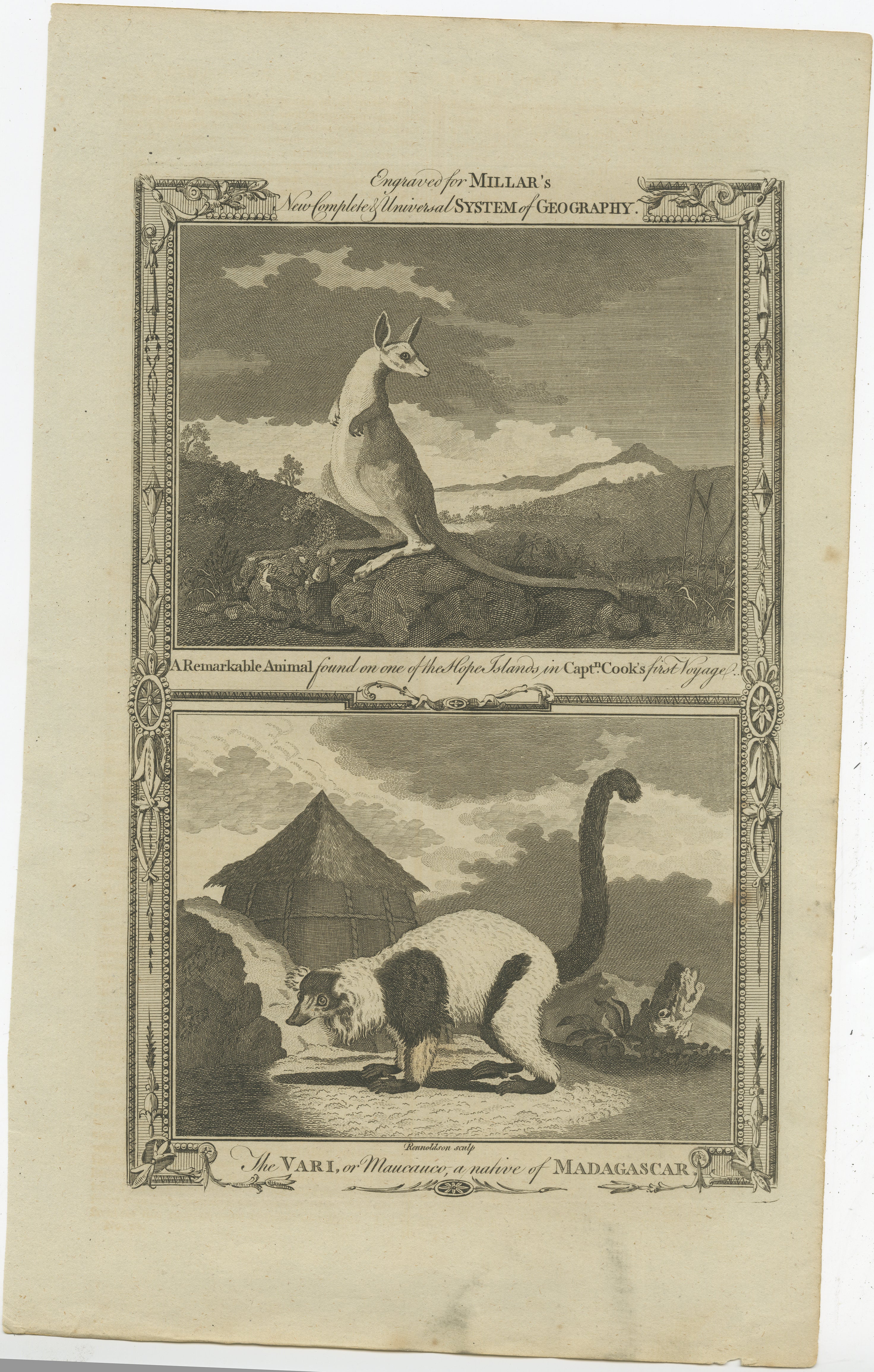 Engraving by Rennoldson (18th Century British School) with nice decorative border. 

1) A Remarkable Animal Found on One of the Hope Islands in Capt Cook's First Voyage.
2) The Vari or Maucauco, a native of Madagascar.



Printed by Alex