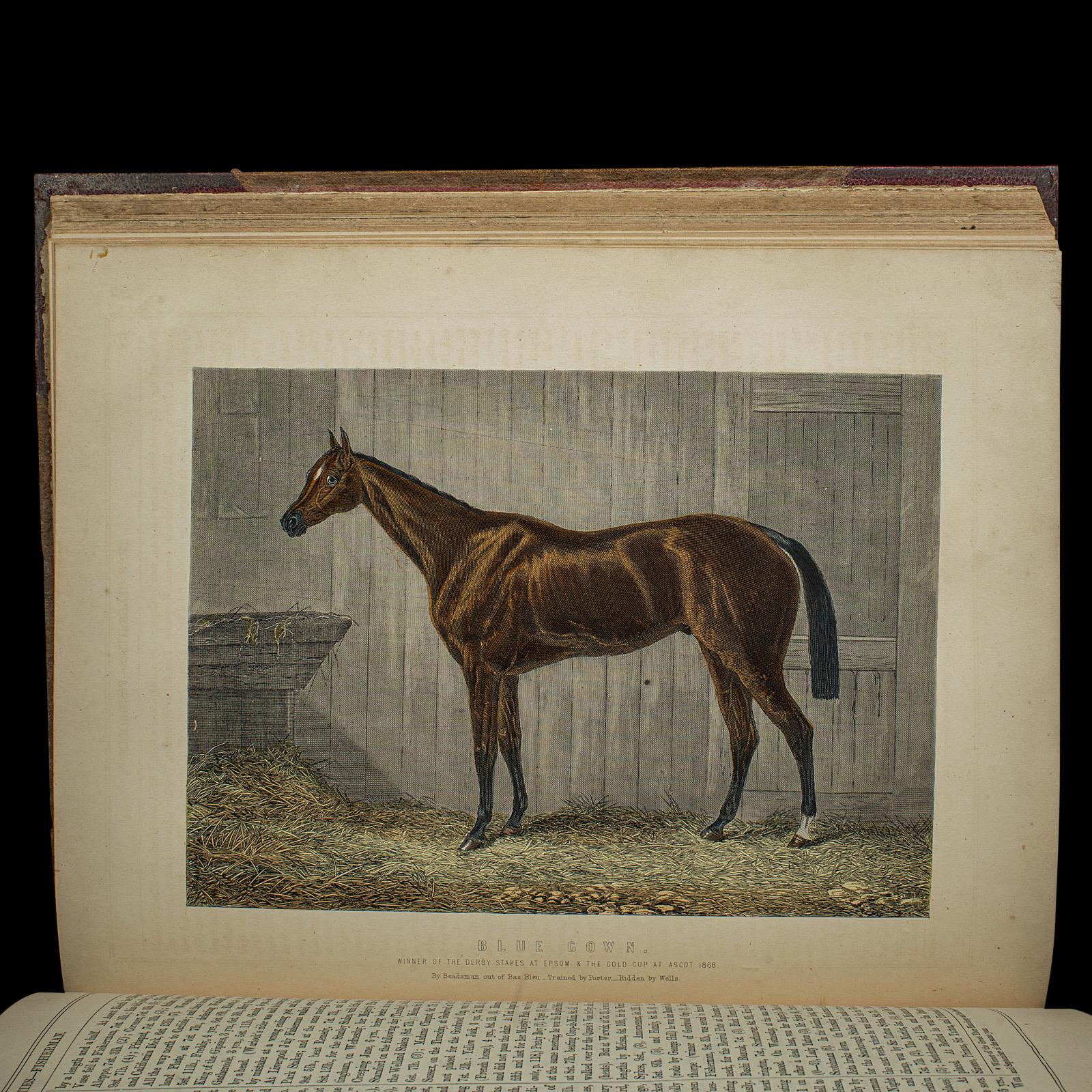 Antico libro di riferimento per l'equitazione, moderna pratica di mascalcia, inglese, vittoriano in vendita 4