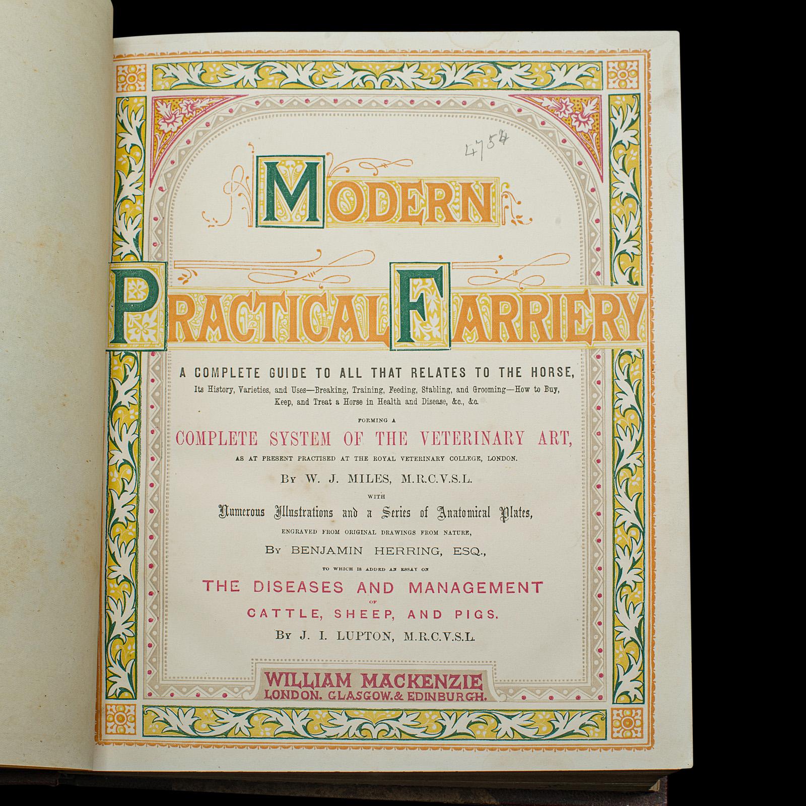 Britannico Antico libro di riferimento per l'equitazione, moderna pratica di mascalcia, inglese, vittoriano in vendita