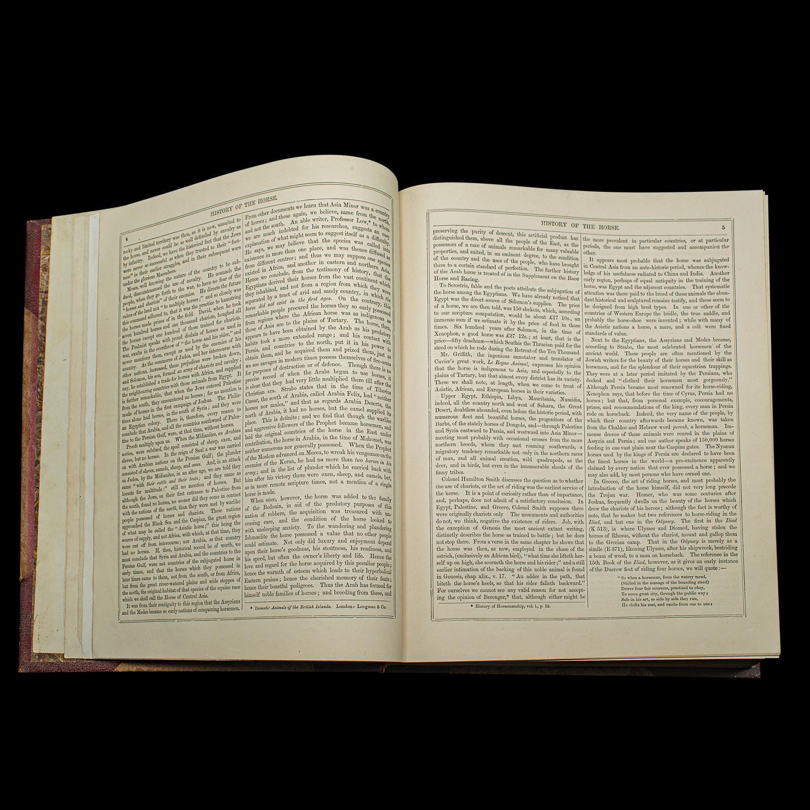 XIX secolo Antico libro di riferimento per l'equitazione, moderna pratica di mascalcia, inglese, vittoriano in vendita