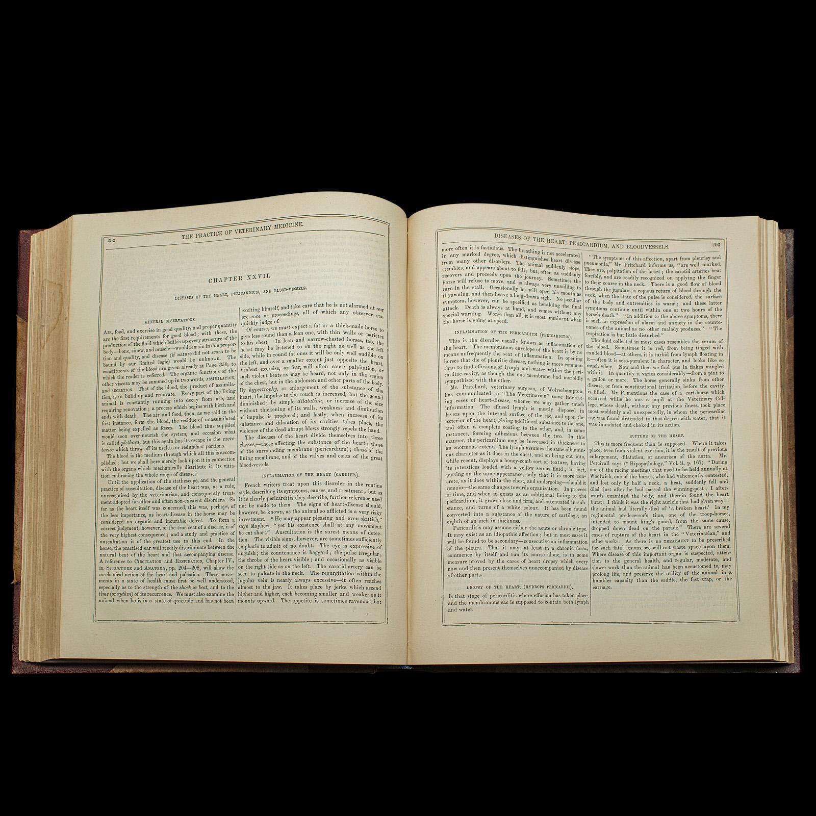 Antico libro di riferimento per l'equitazione, moderna pratica di mascalcia, inglese, vittoriano in vendita 1