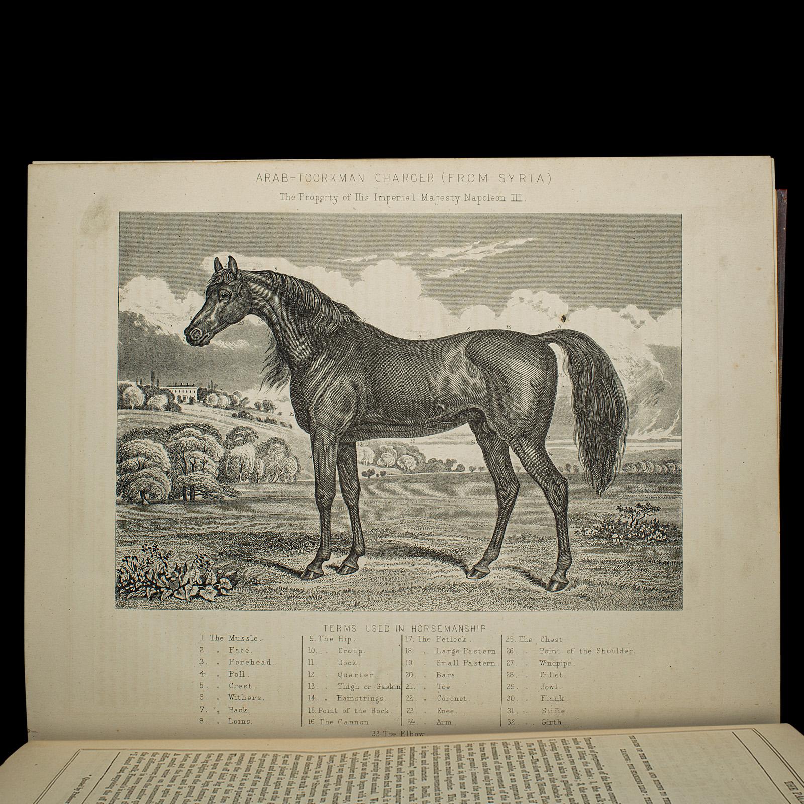 Antico libro di riferimento per l'equitazione, moderna pratica di mascalcia, inglese, vittoriano in vendita 2