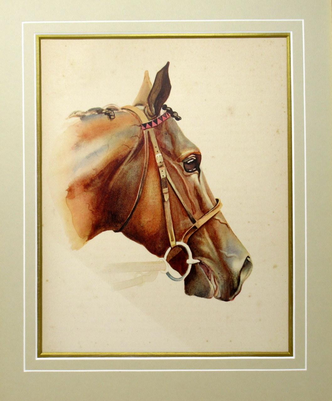 An exceptionally fine quality framed color print on paper of French origin, depicting a French Thoroughbred Racehorse named Sir Gallahad 1926-1949,
Complete with printed eight-page booklet, see images. 

Professionally re-mounted on artists card