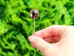 Antique Essex Crystal and 9 Carat Yellow Gold Dog Pin Brooch