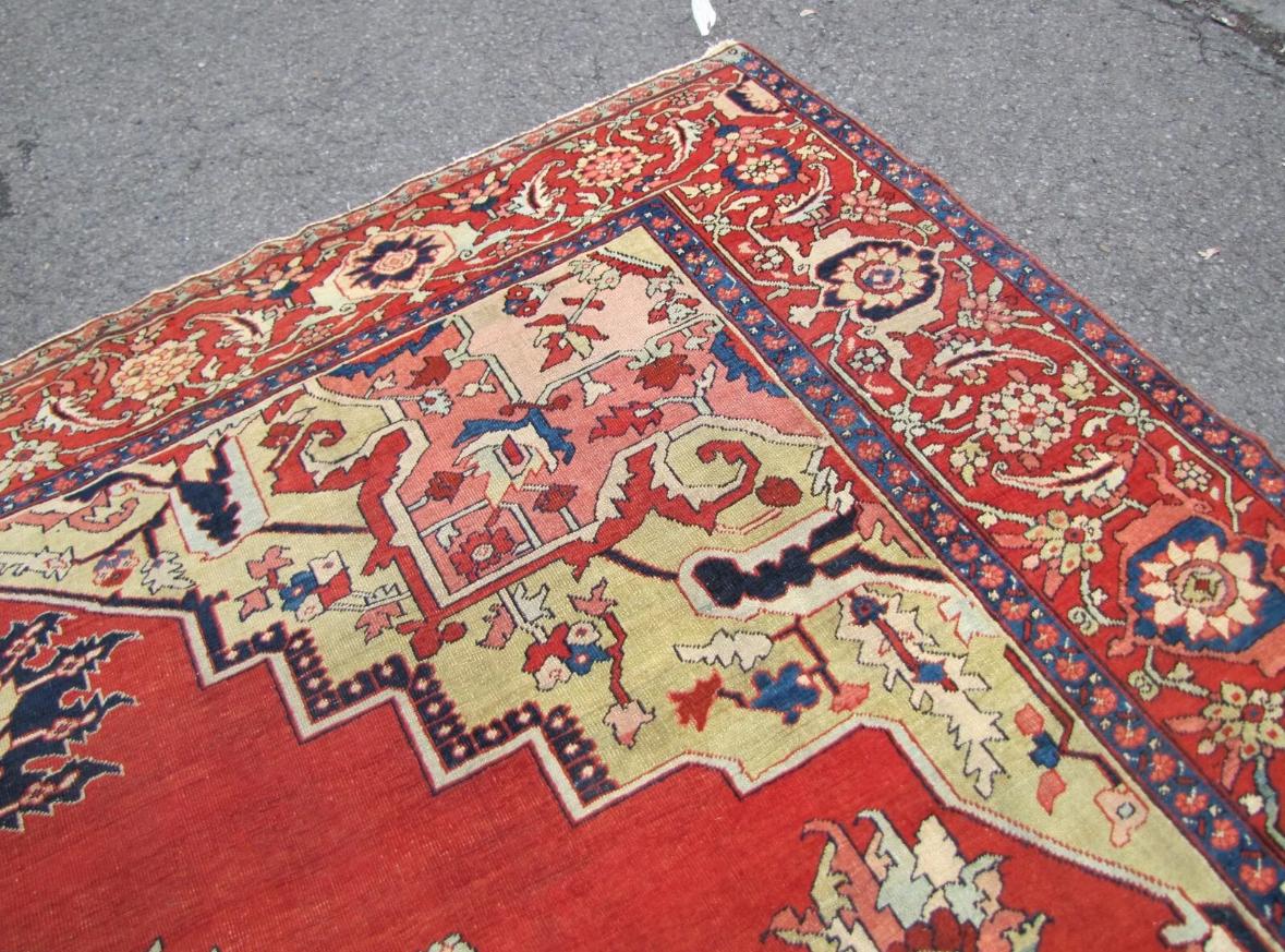 Antique Estate Persian Serapi Rug, c 1890 - RR6299   A  SALE For Sale 11