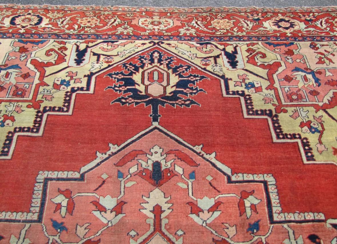 Antique Estate Persian Serapi Rug, c 1890 - RR6299   A  SALE For Sale 12