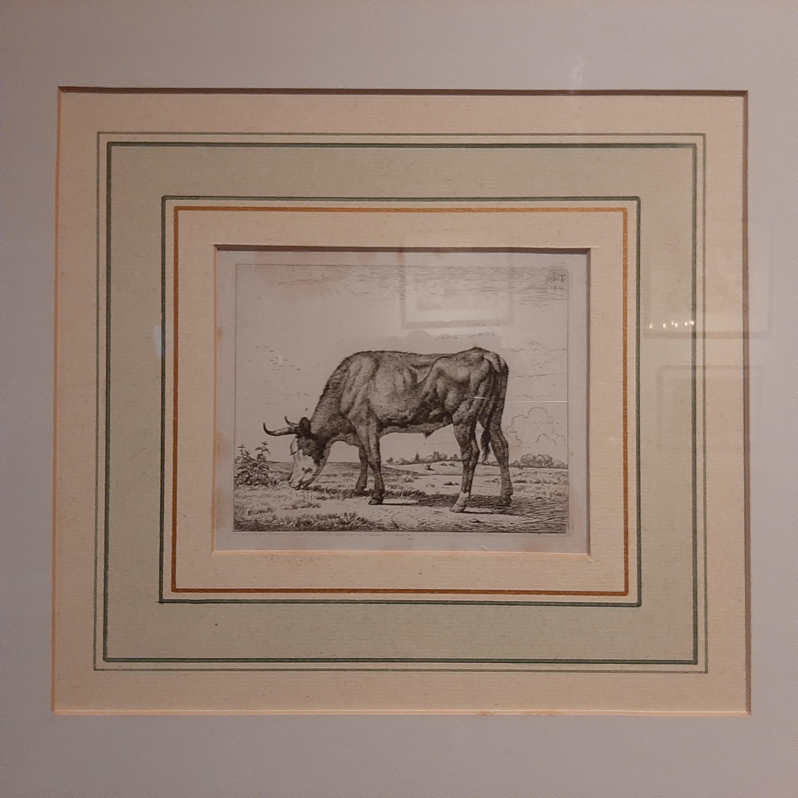 Antique etching of a grazing cow by Wouter Johannes van Troostwijk. Wouter Johannes van Troostwijk was a Dutch painter and etcher. Most of his works are landscapes (featuring cattle) or cityscapes.

Frame included. We carefully pack our framed