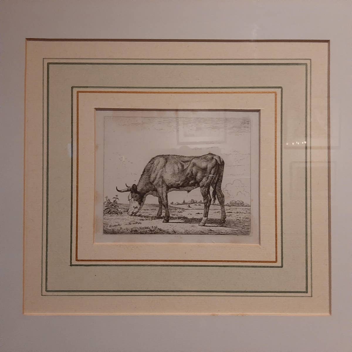 Antique Etching of a Grazing Cow by Van Troostwijk, Framed, 1810