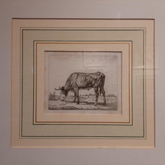 Antique Etching of a Grazing Cow by Van Troostwijk, Framed, 1810