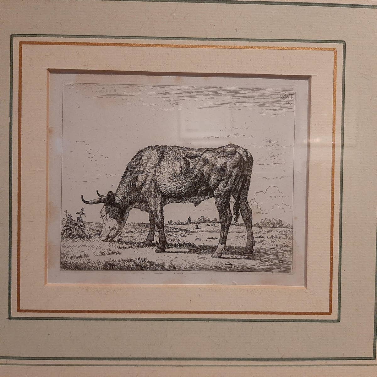 Antique Etching of a Grazing Cow by Van Troostwijk, Framed, 1810