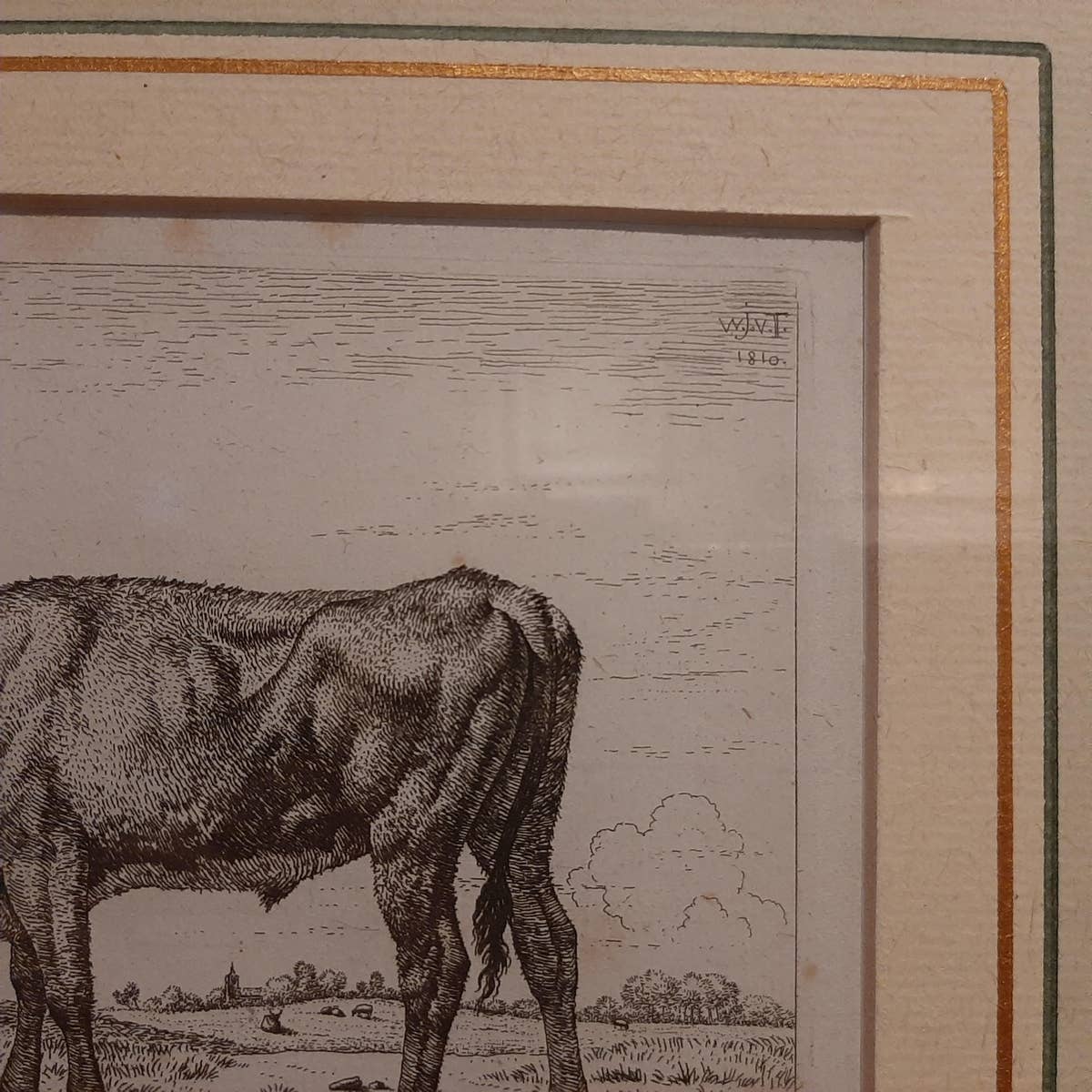 Antique Etching of a Grazing Cow by Van Troostwijk, Framed, 1810