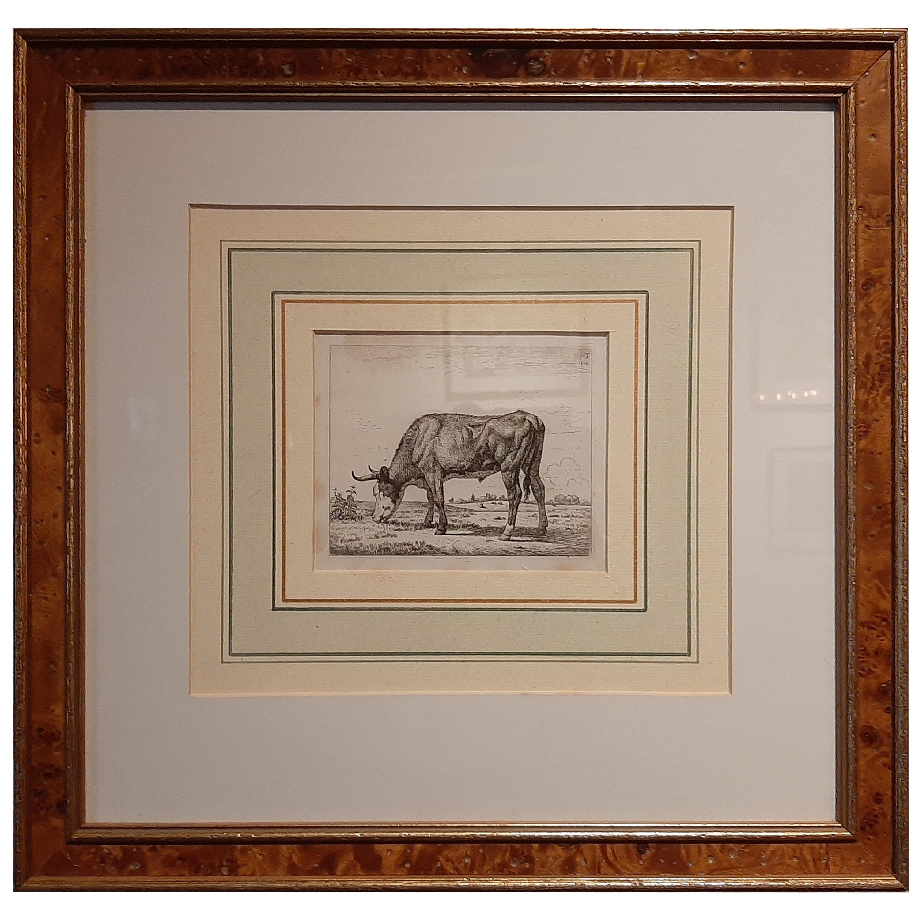 Acquaforte antica di Van Troostwijk raffigurante una mucca al pascolo, 1810 in vendita
