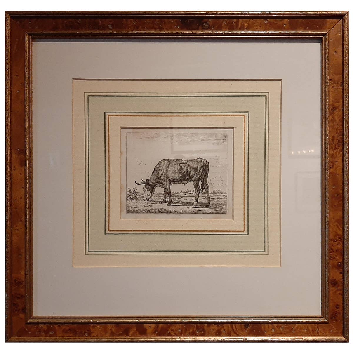 Antique Etching of a Grazing Cow by Van Troostwijk, Framed, 1810