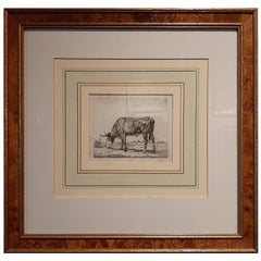 Acquaforte antica di Van Troostwijk raffigurante una mucca al pascolo, 1810
