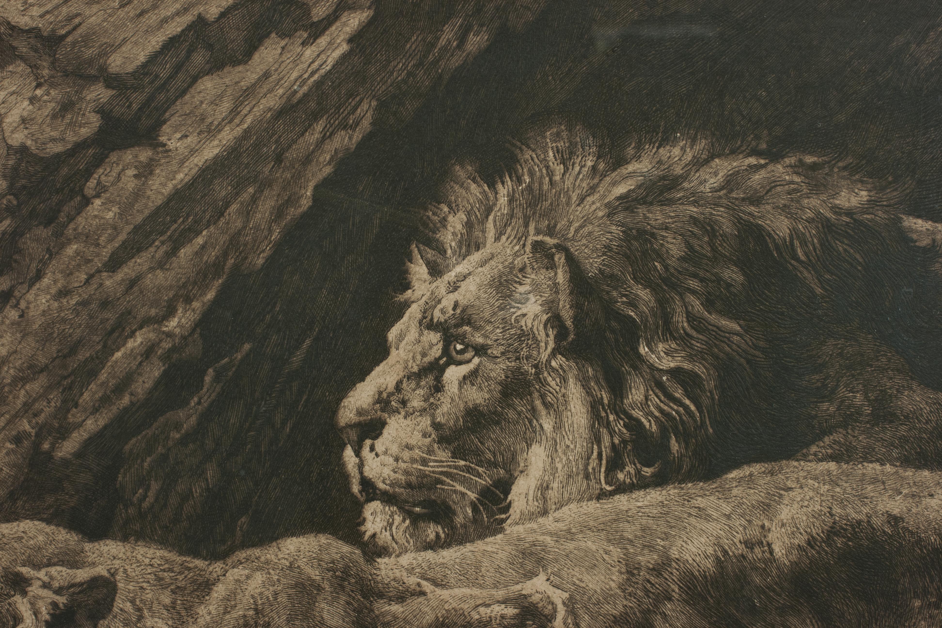 Fin du XIXe siècle Gravure ancienne, « Helpers » Lions par Herbert Dicksee, faune africaine en vente