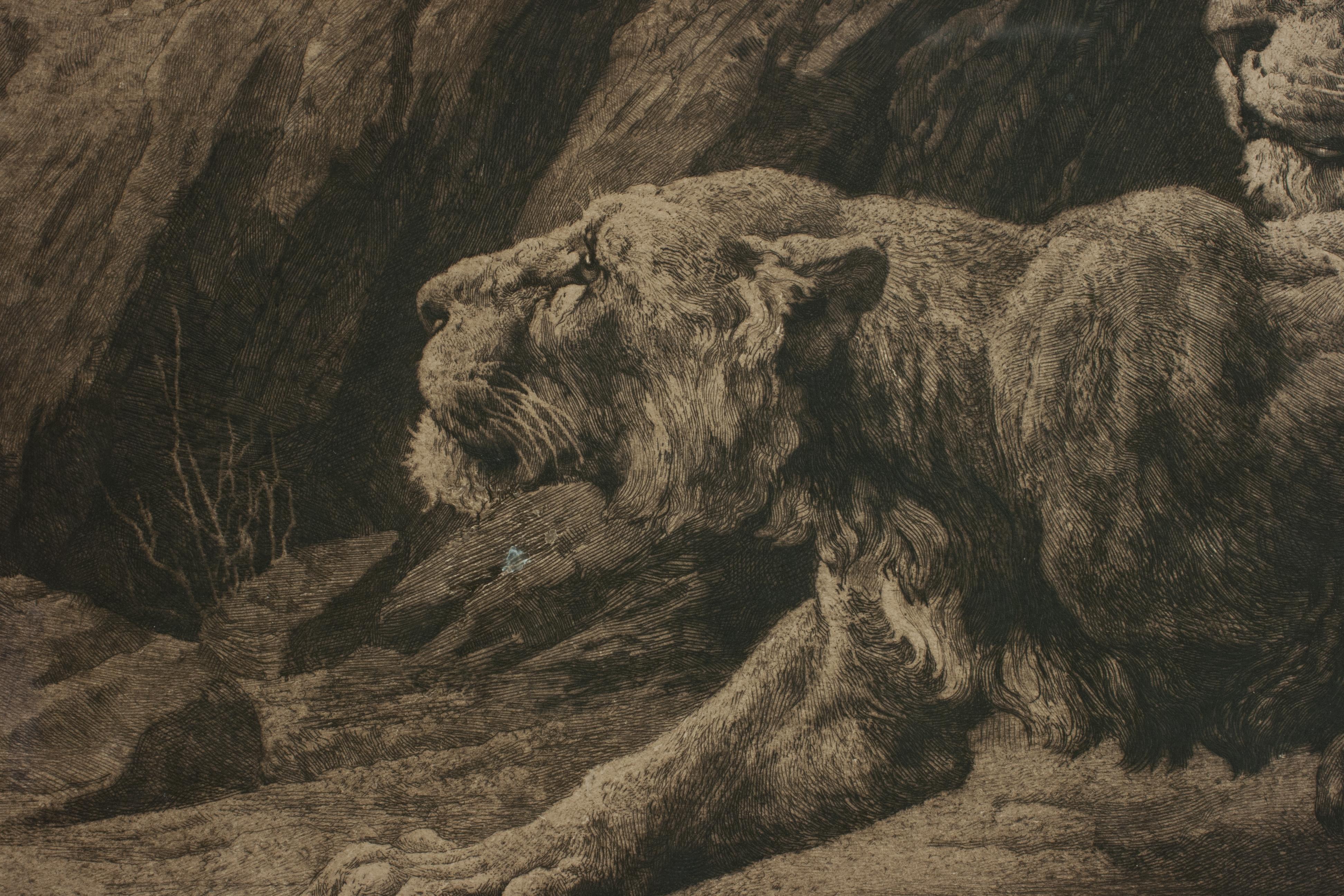 Papier Gravure ancienne, « Helpers » Lions par Herbert Dicksee, faune africaine en vente