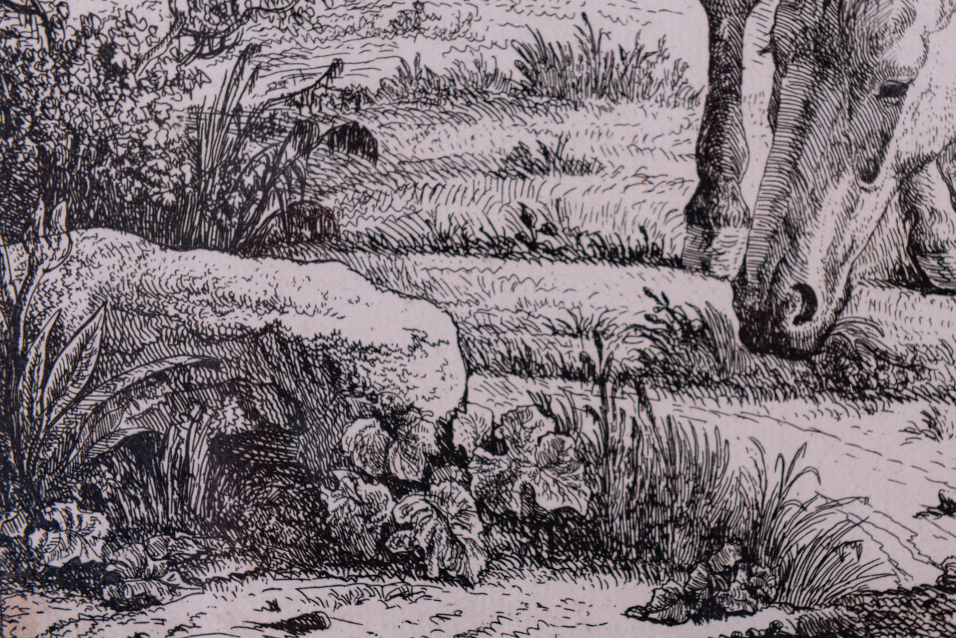 Antique Etchings of Horses For Sale 3