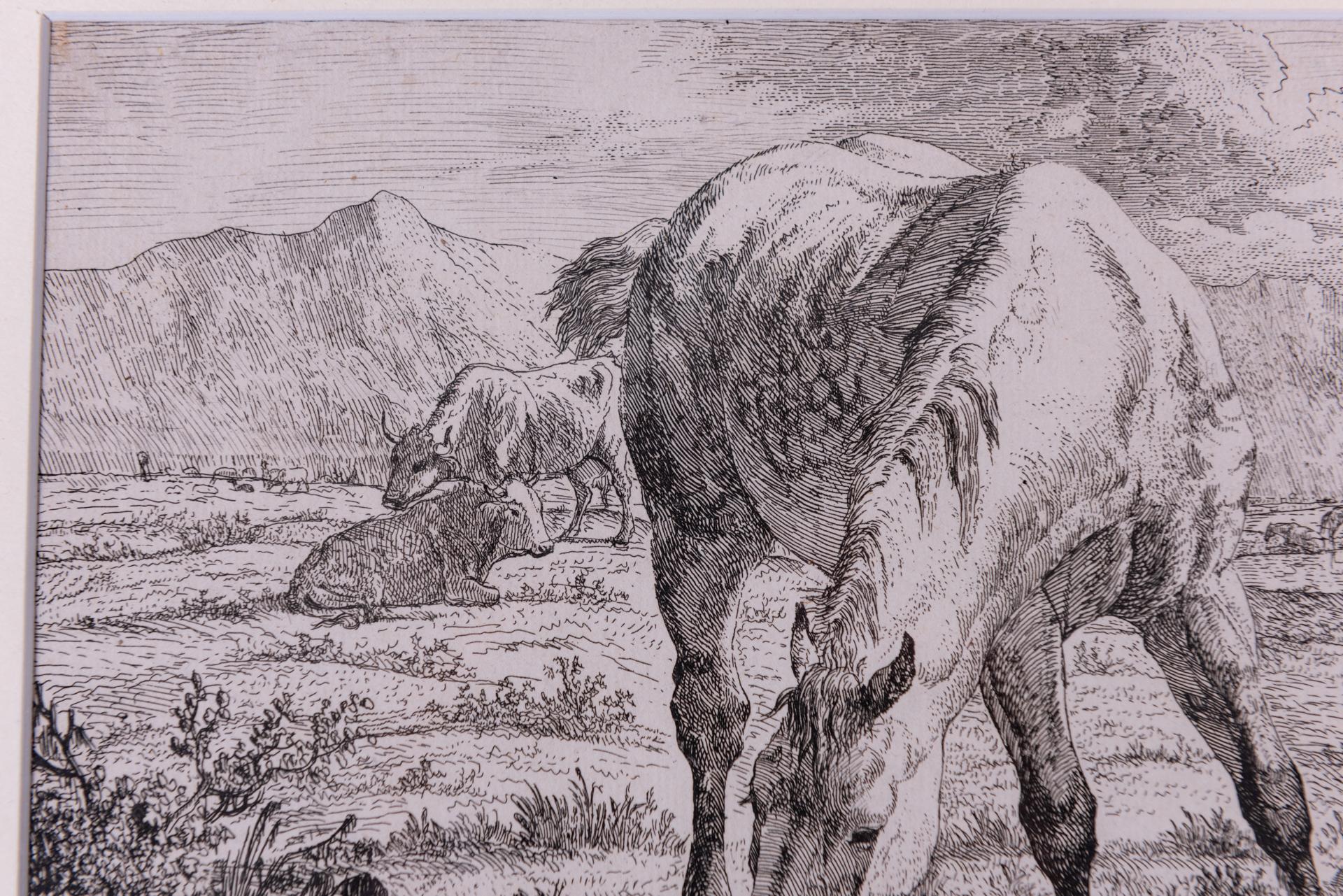 Antique Etchings of Horses For Sale 4