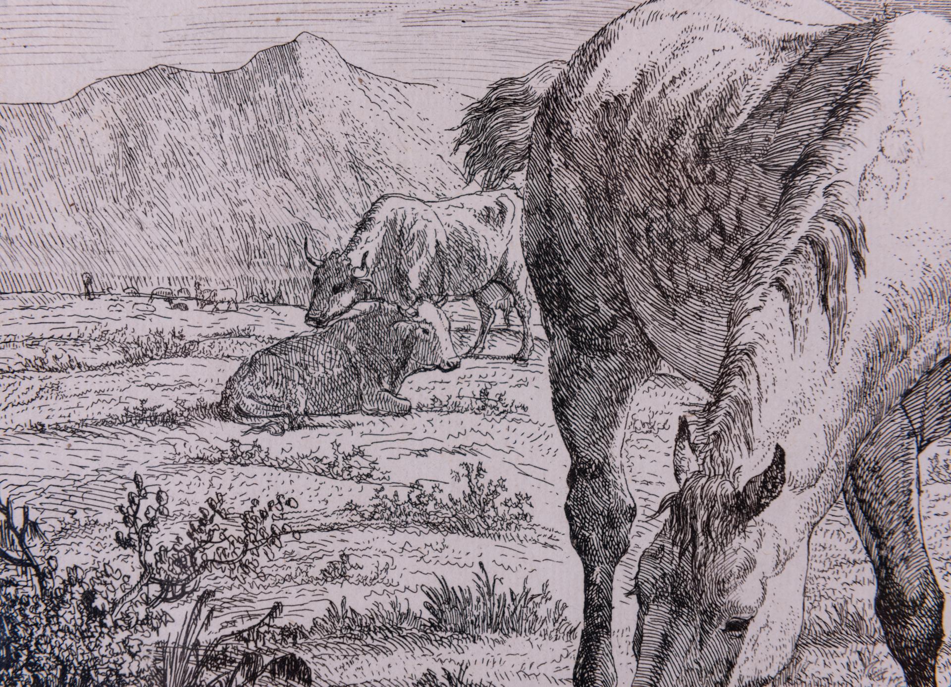 Antique Etchings of Horses For Sale 8