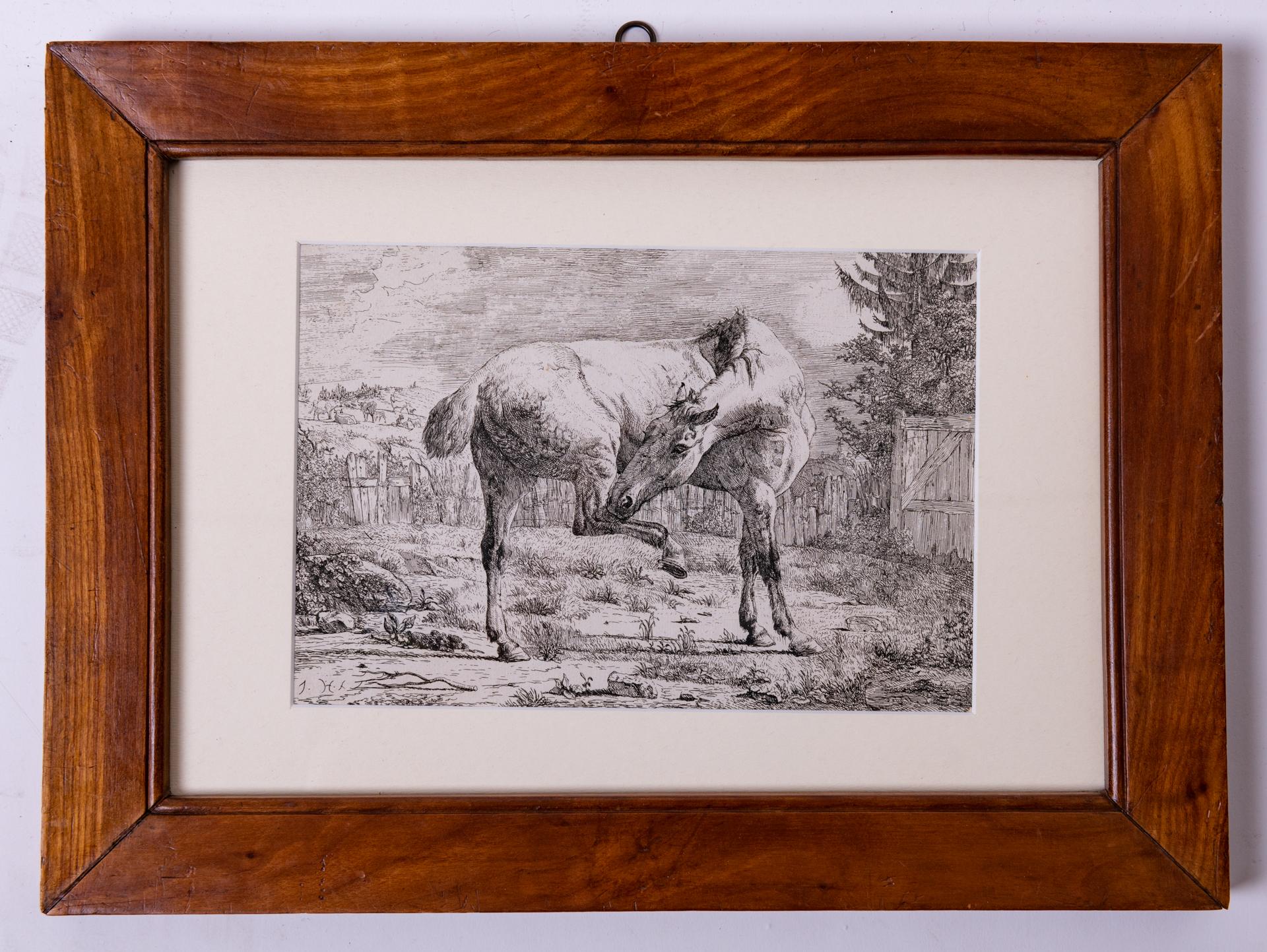 Other Antique Etchings of Horses For Sale