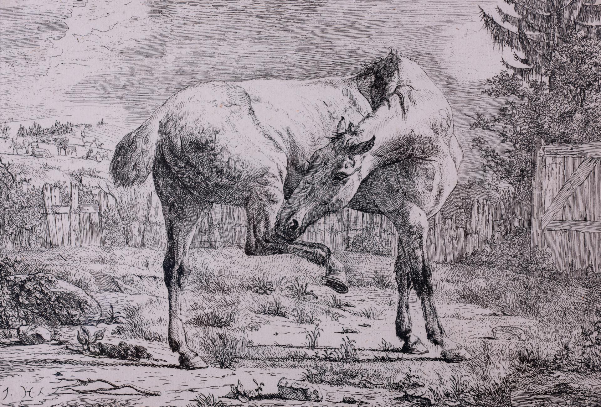 Dutch Antique Etchings of Horses For Sale