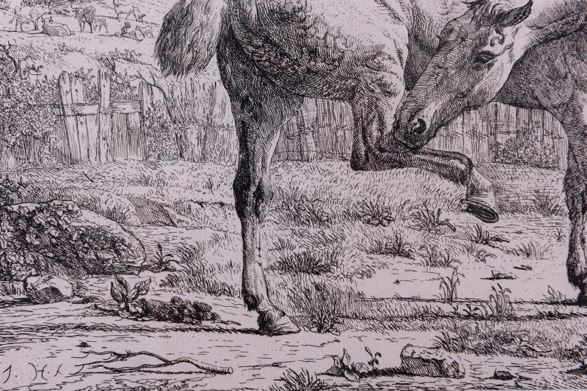 17th Century Antique Etchings of Horses For Sale