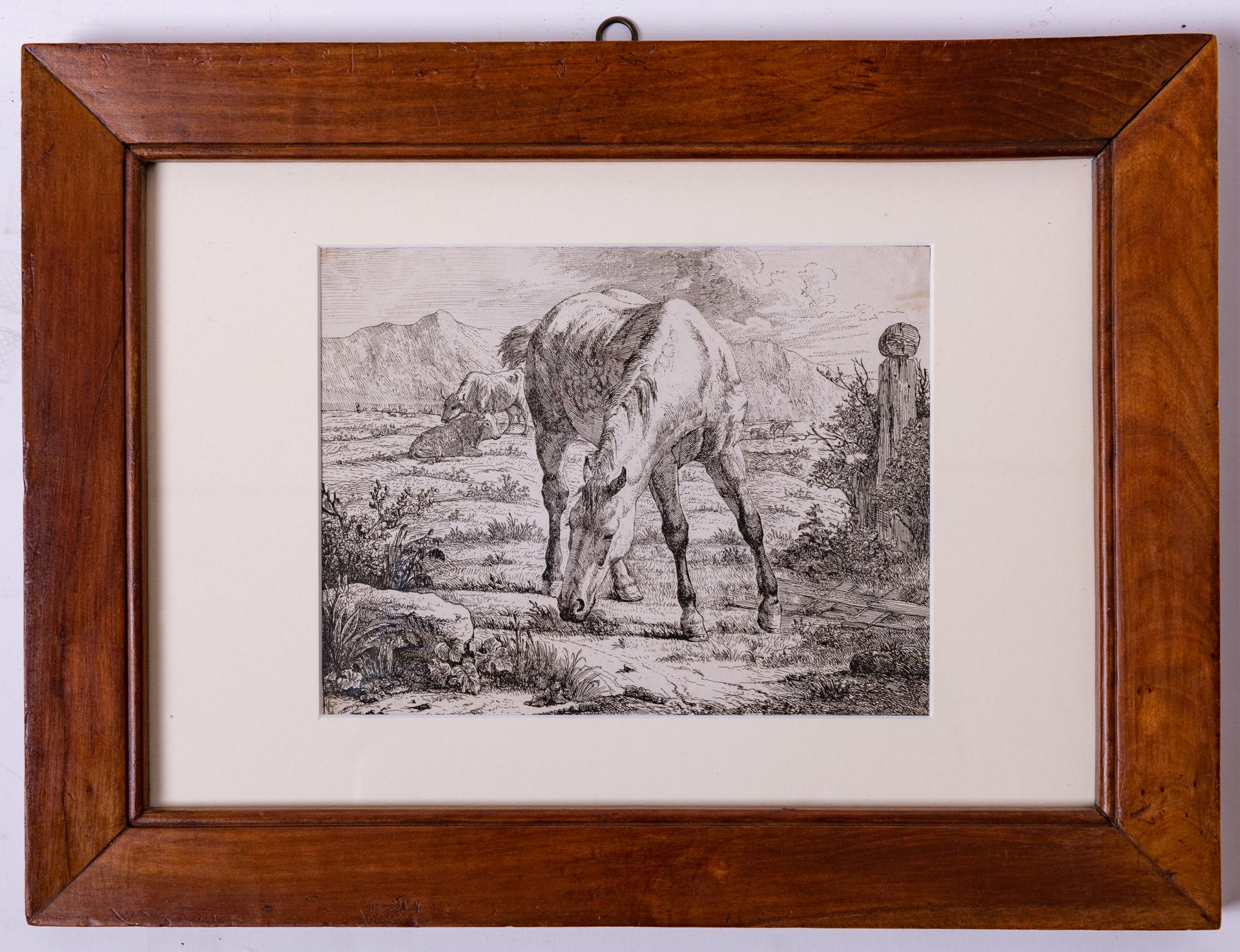 Paper Antique Etchings of Horses For Sale