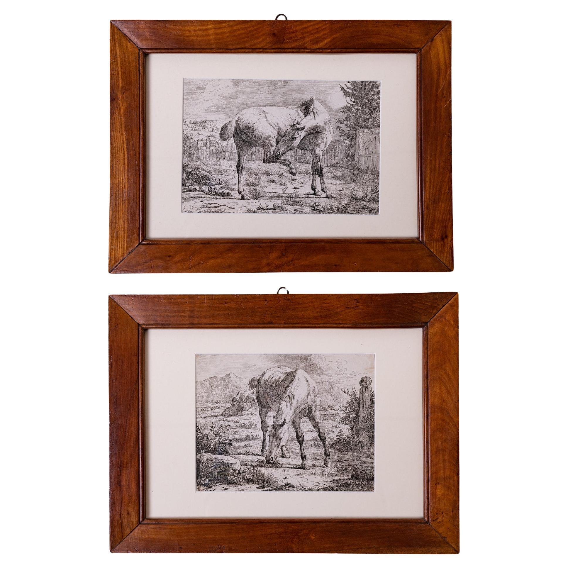 Antique Etchings of Horses For Sale