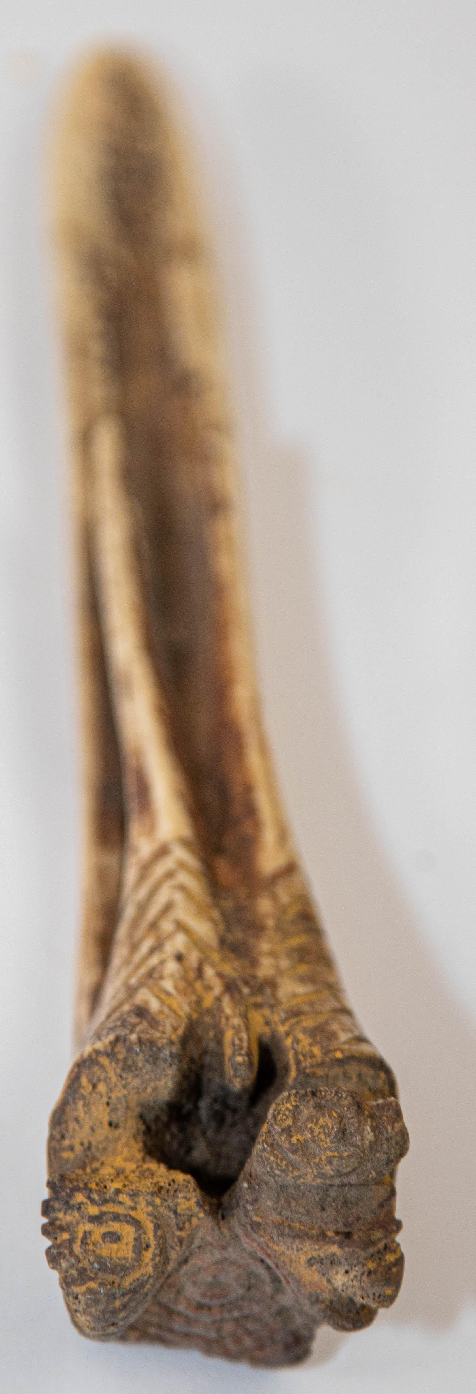 Antique Ethnic Artifact Sepik River Cassowary Bone from Papua New Guinea For Sale 6