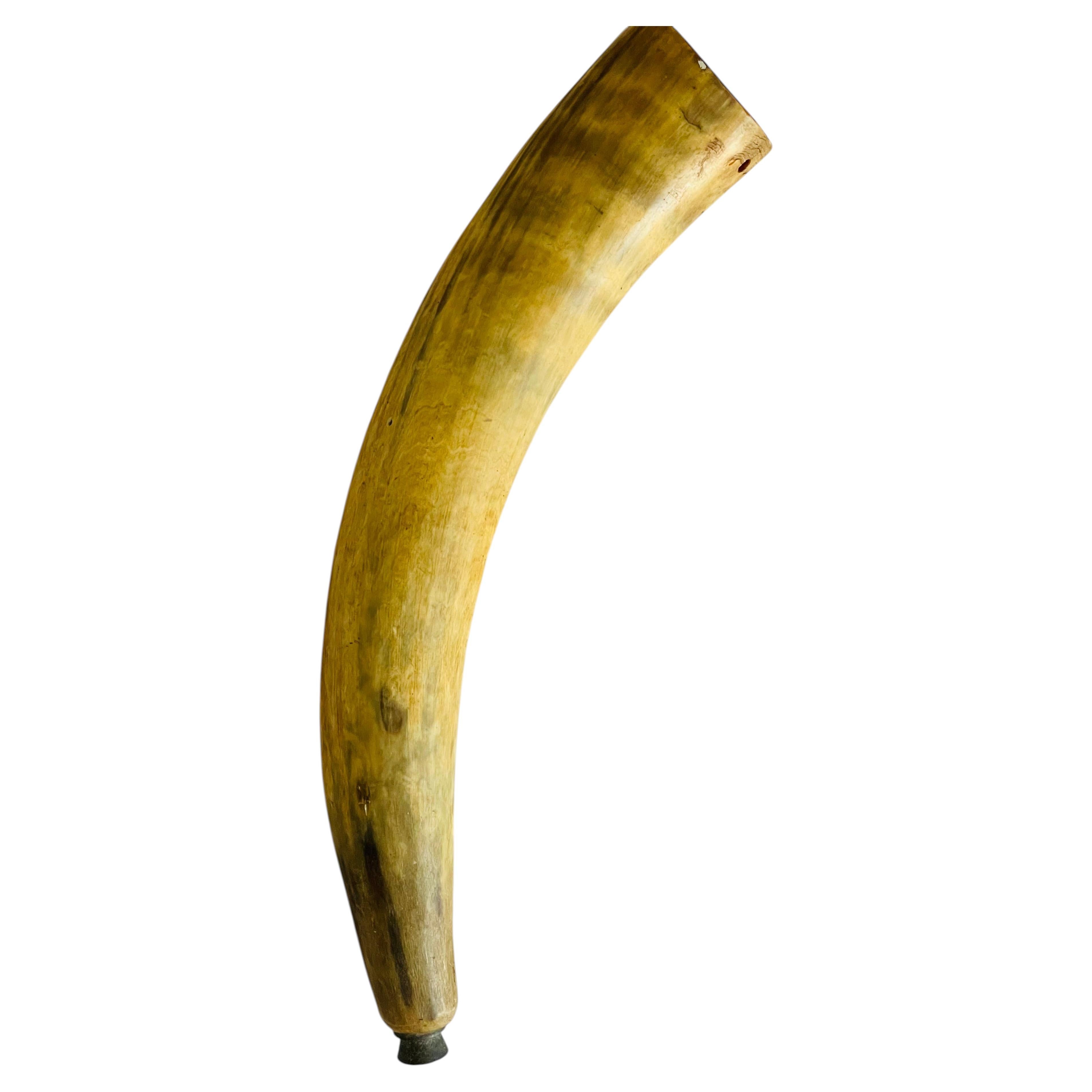 Antique Powder Horn: African Ethnographic & American Classical, 1900