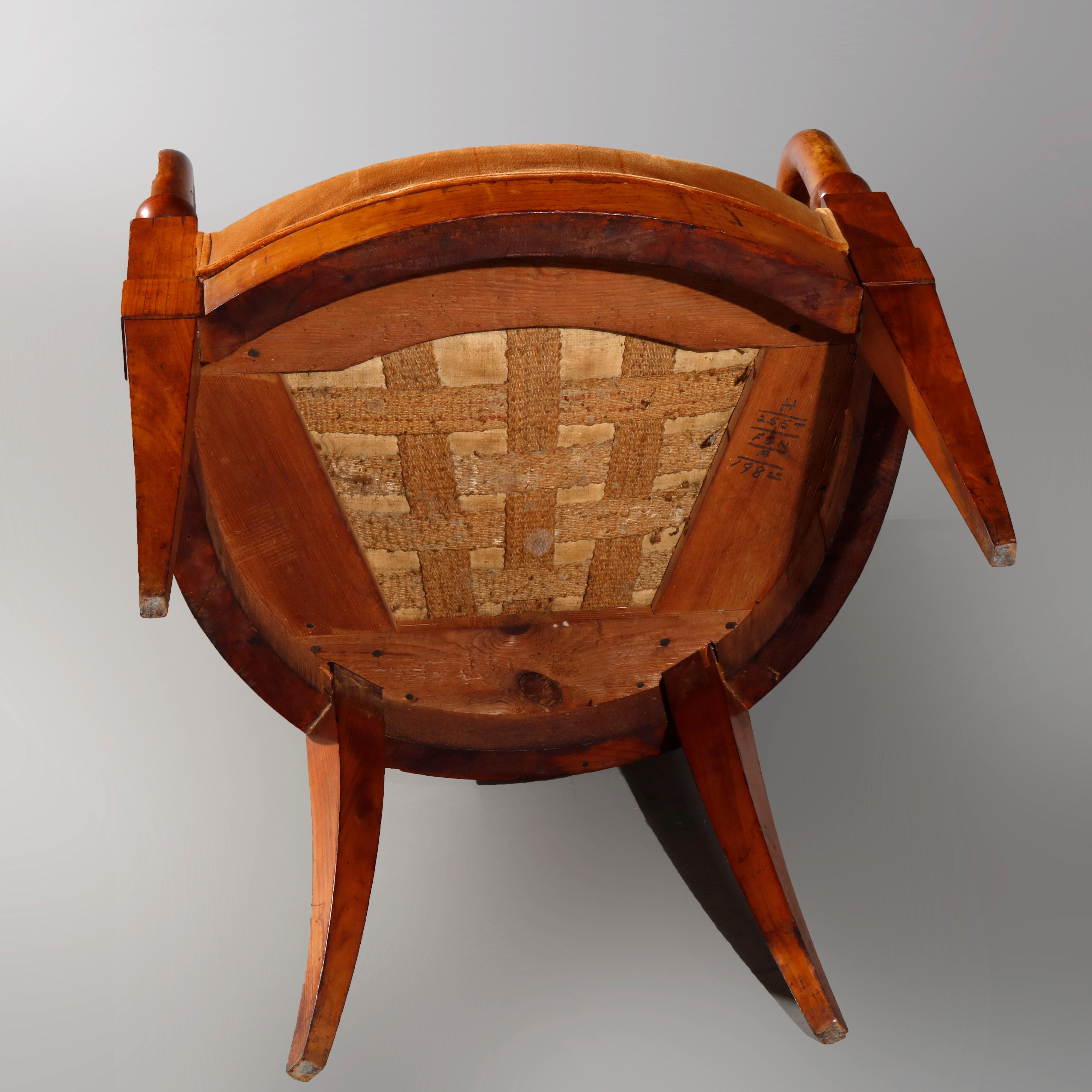 Antique European Biedermeier Walnut Armchair, circa 1820 6