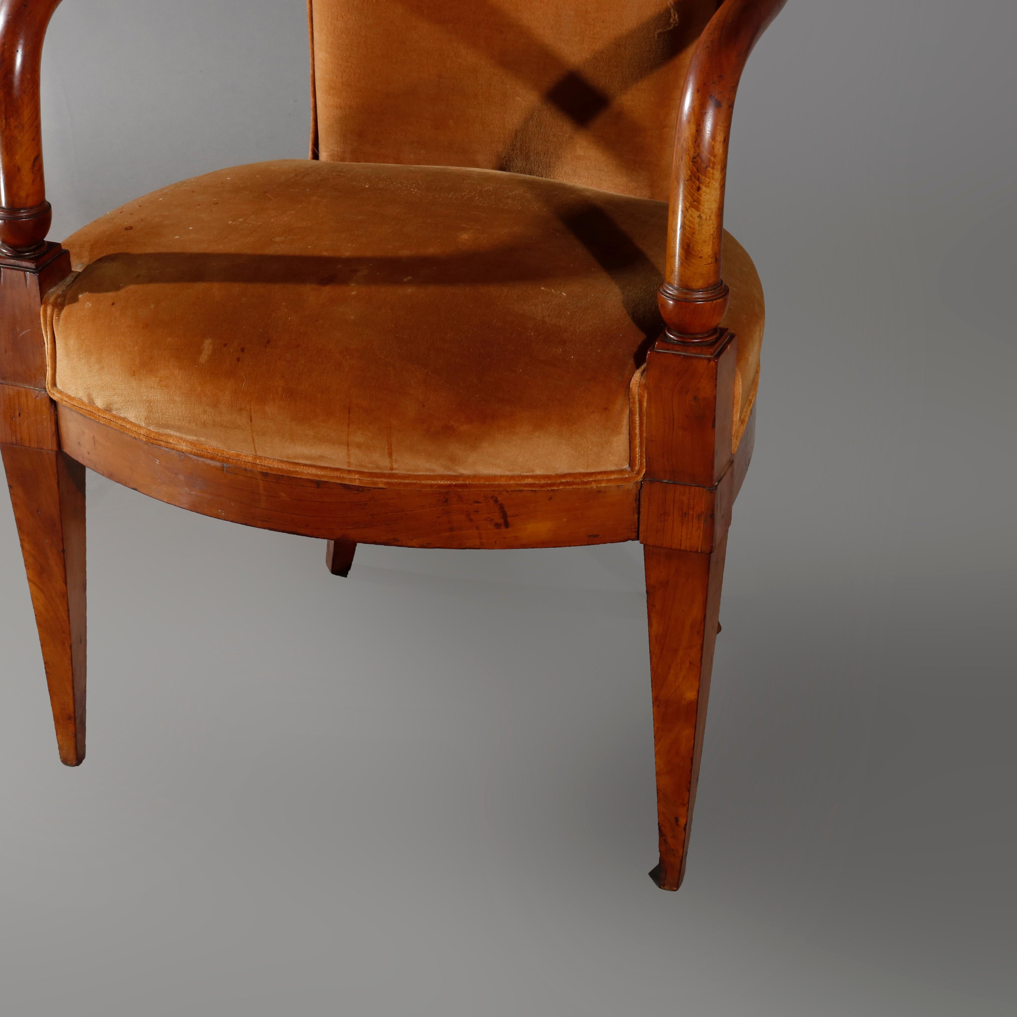 Antique European Biedermeier Walnut Armchair, circa 1820 3
