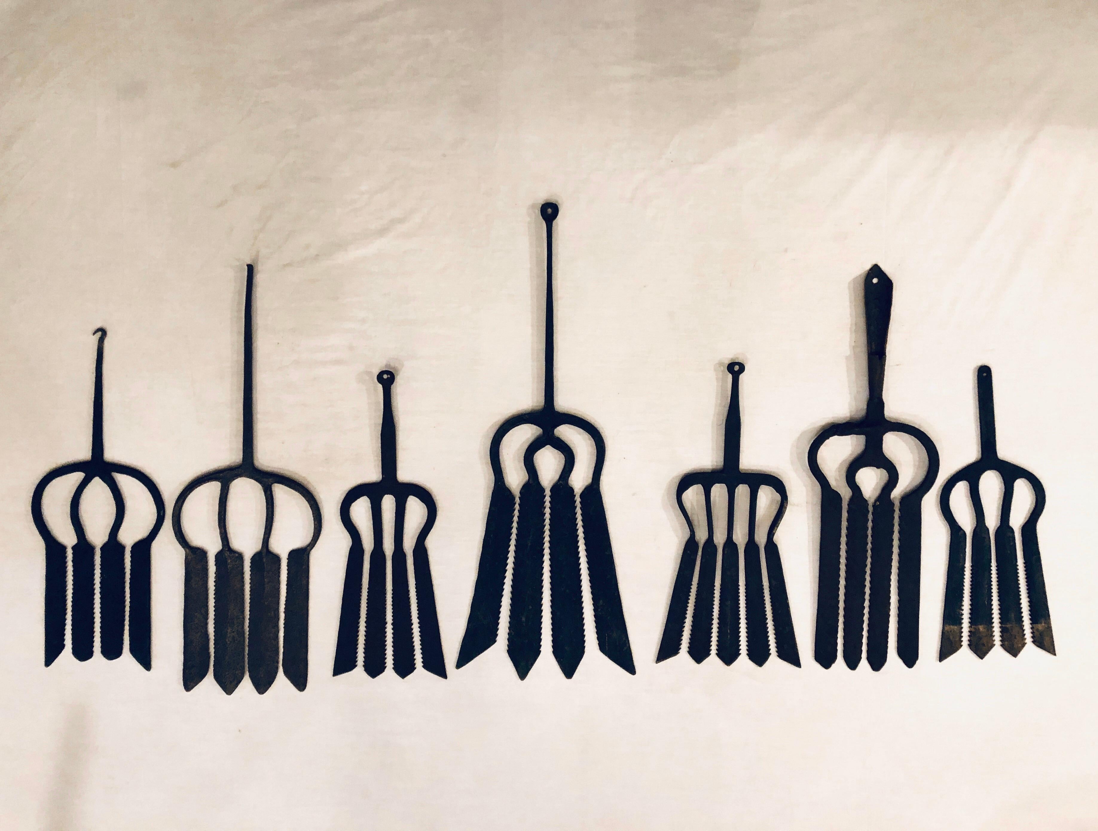 eel spears