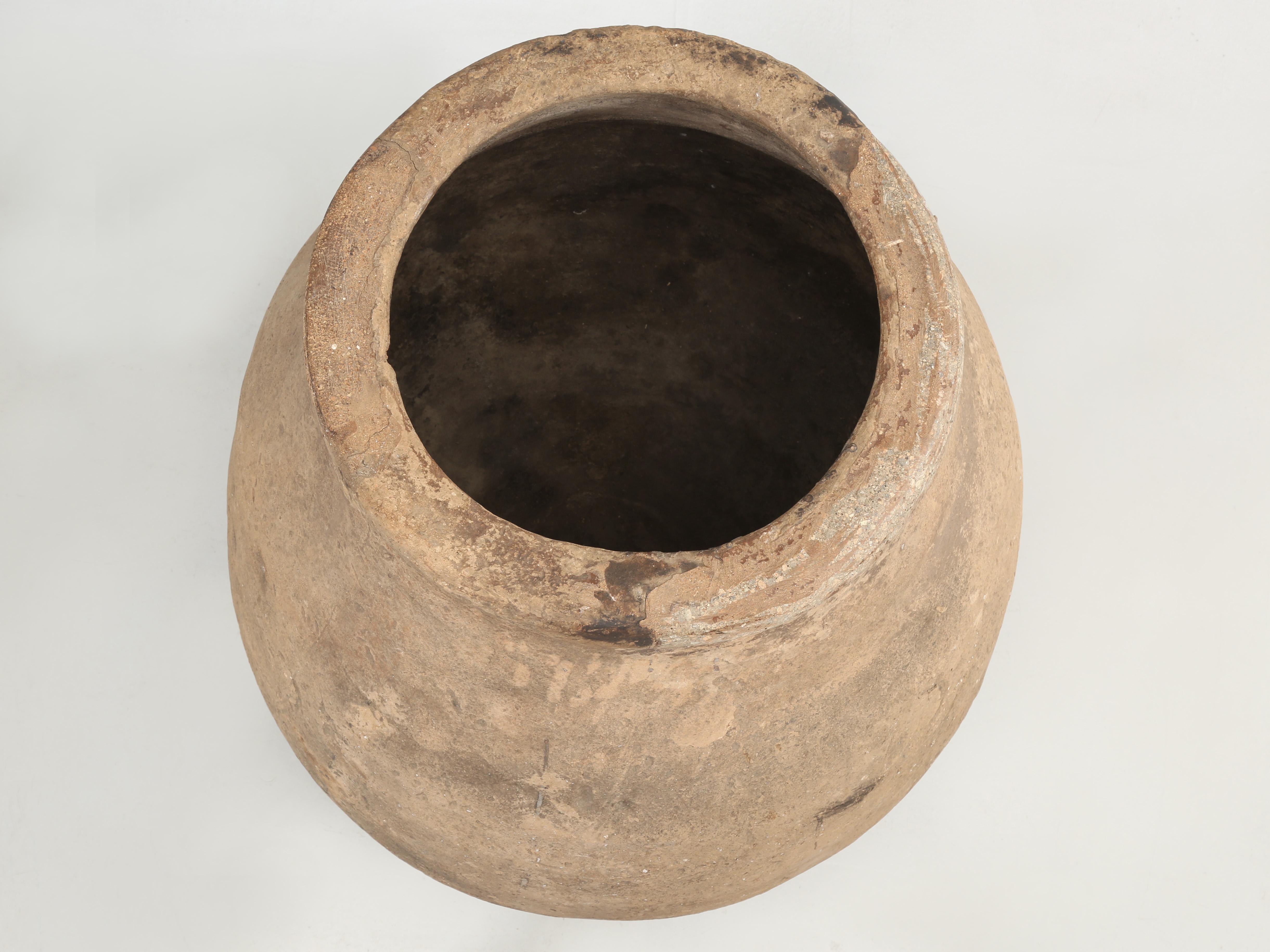 clay urn planter