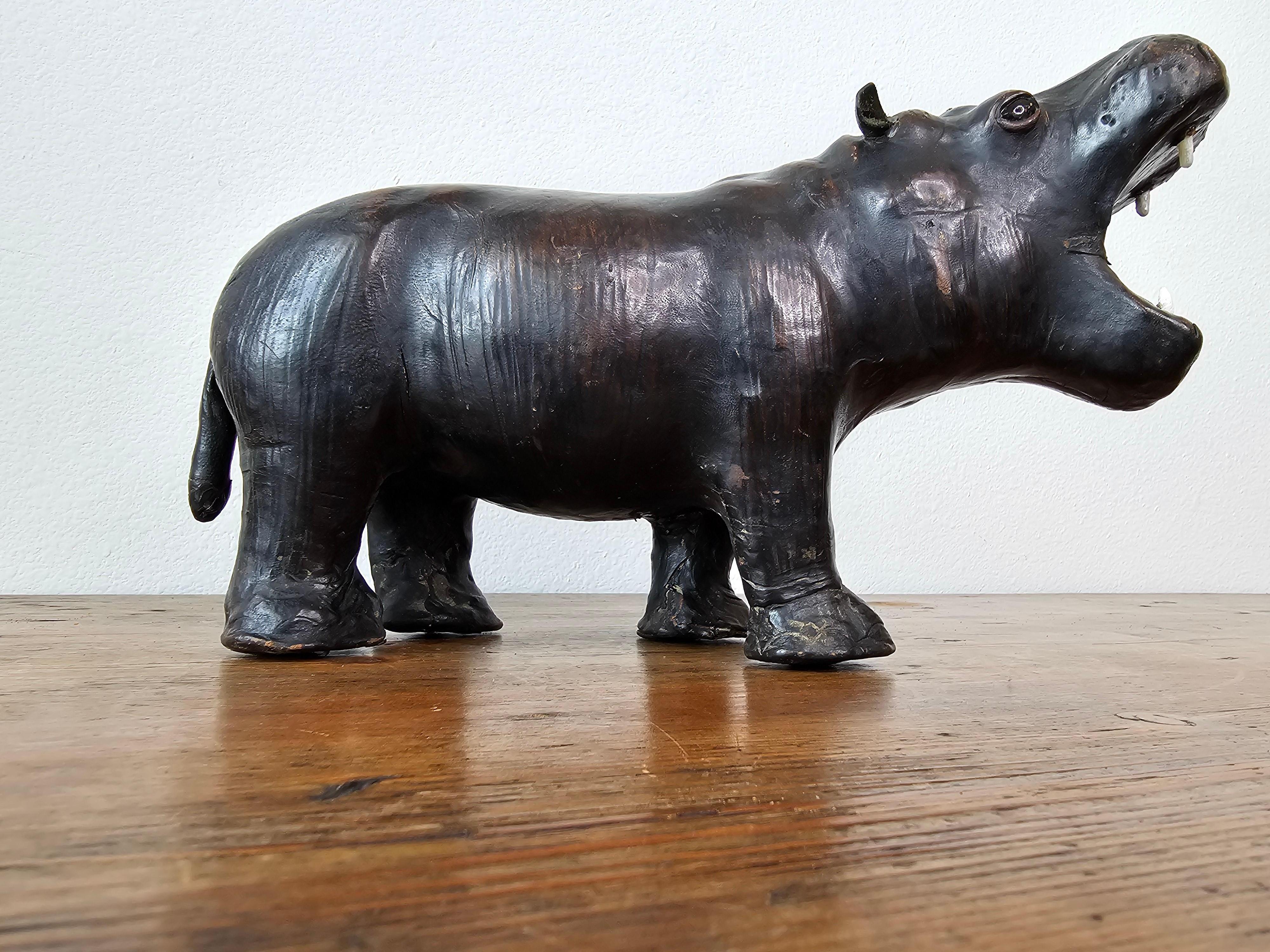 european hippopotamus